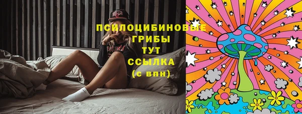 мет Алексин