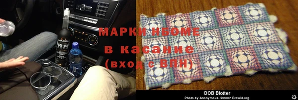 мет Алексин