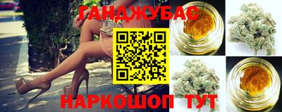 jwh Ставрополь
