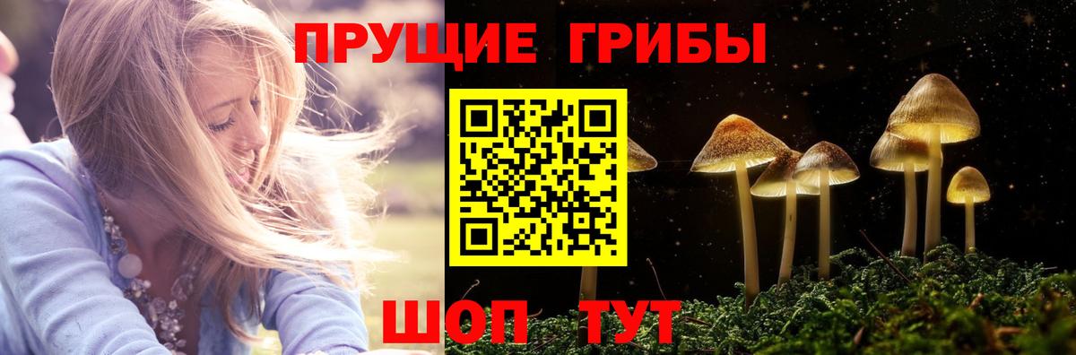 Галлюциногенные грибы GOLDEN TEACHER  Вход с VPN  Ярославль 