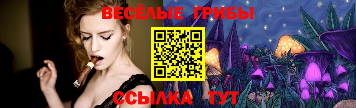 Псилоцибиновые грибы мухоморы Ярославль